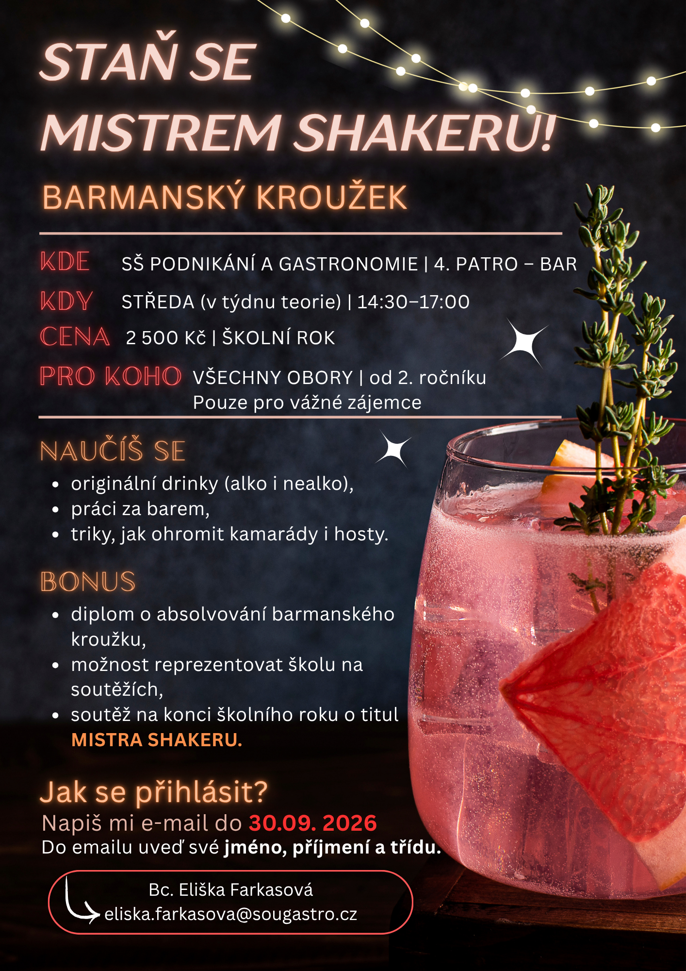 Barmanský kroužek