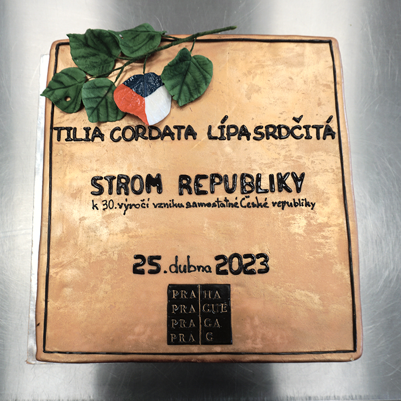 Strom republiky